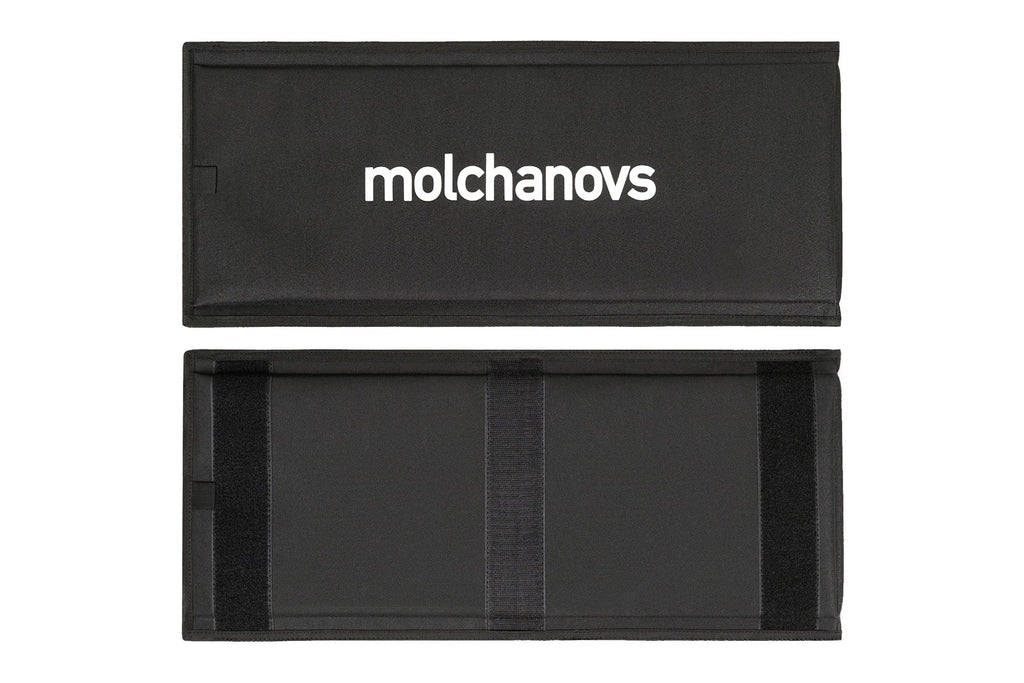 Molchanovs Bifins Blade Protection