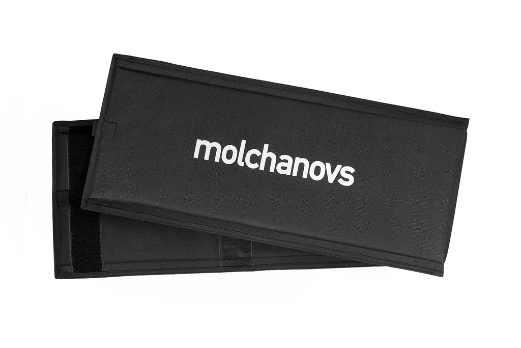 Molchanovs Bifins Blade Protection