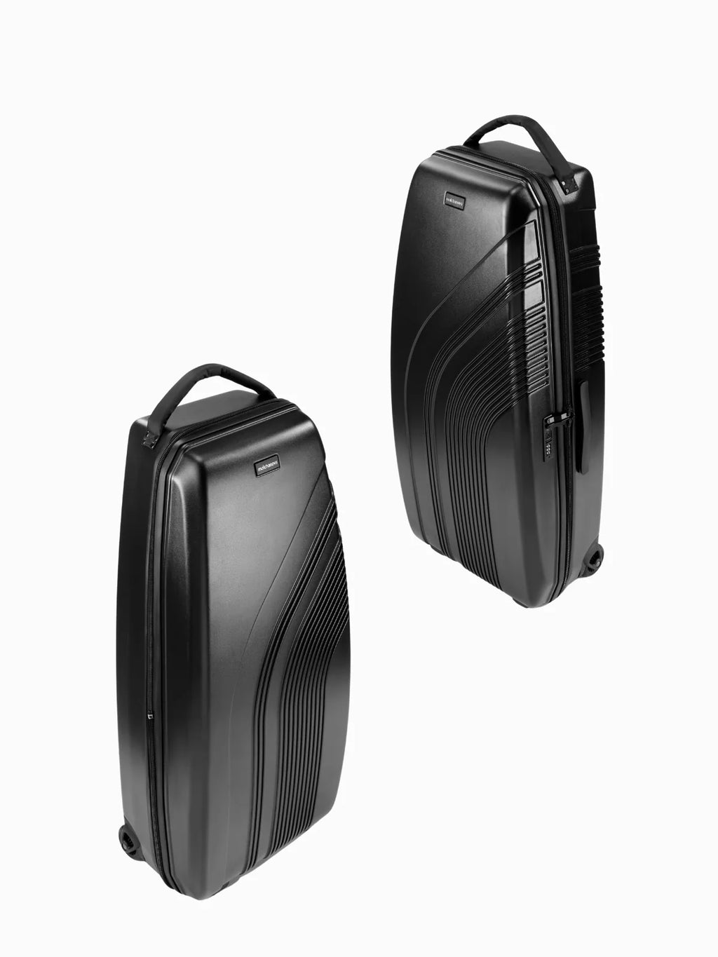 Molchanovs Bifins Hard Case
