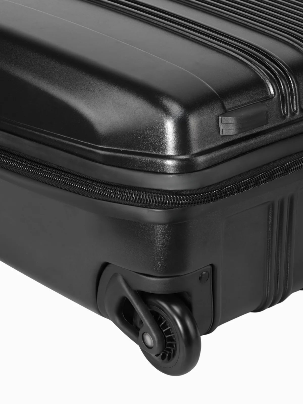 Molchanovs Bifins Hard Case