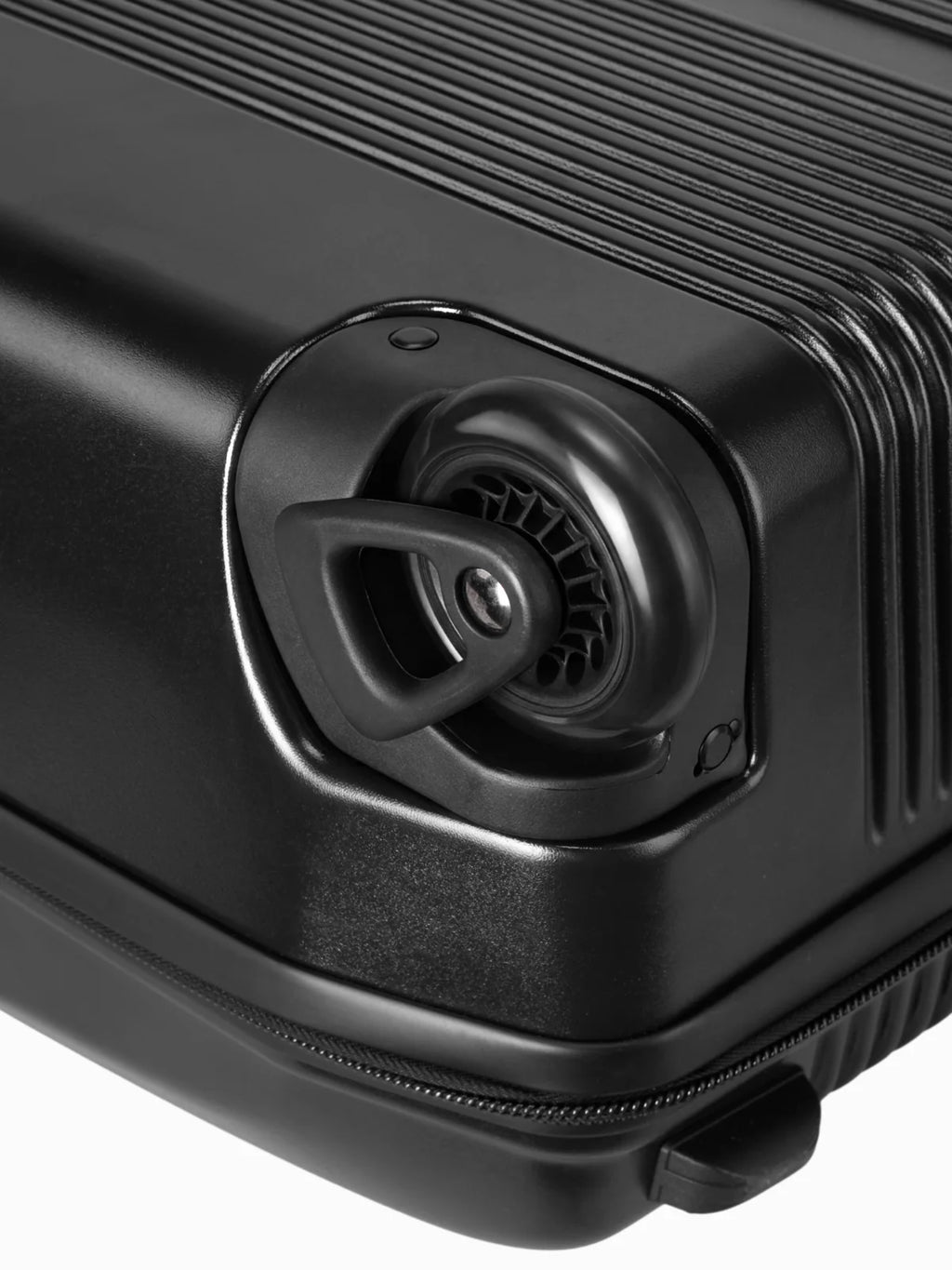 Molchanovs Bifins Hard Case