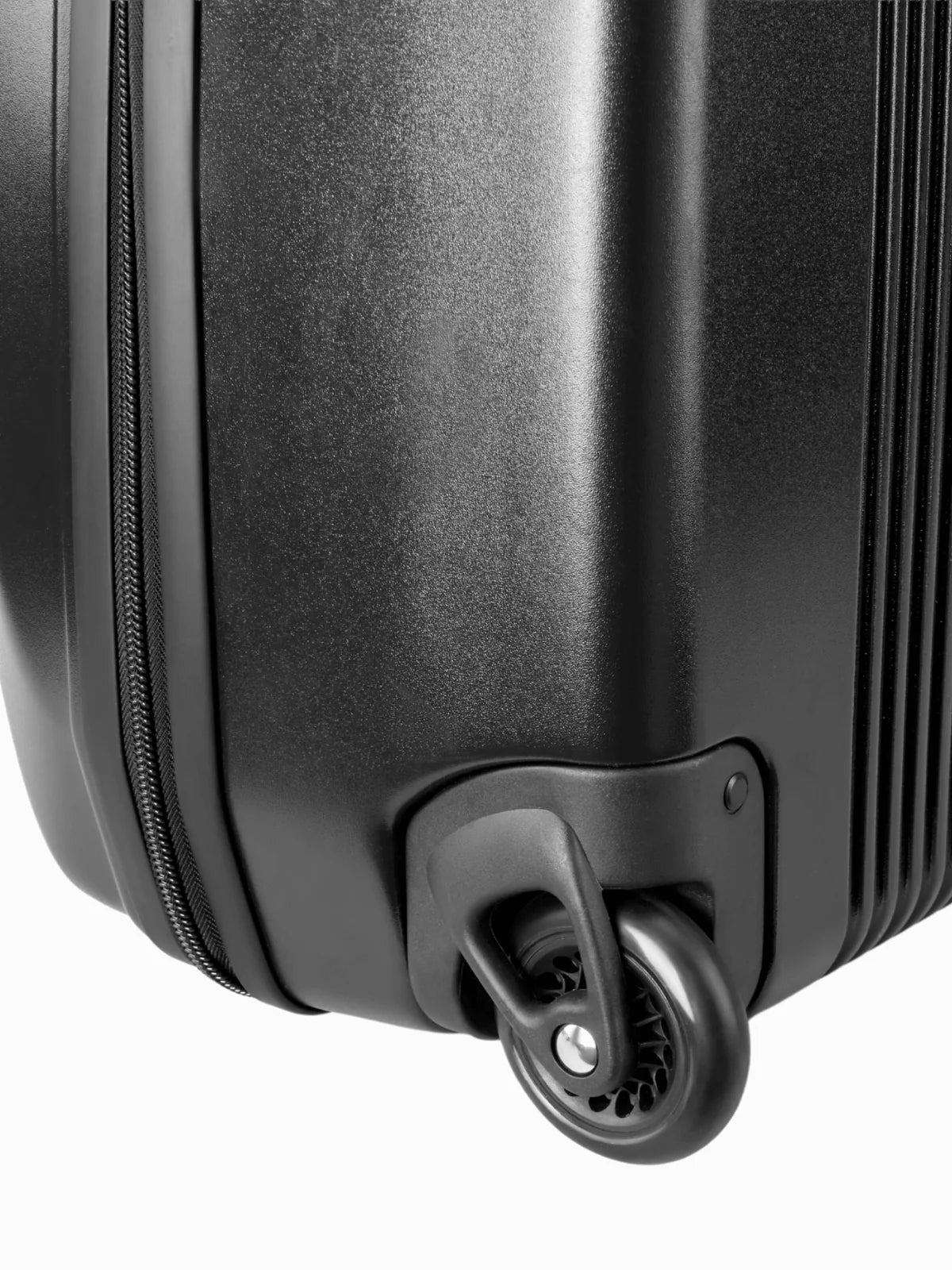 Molchanovs Bifins Hard Case